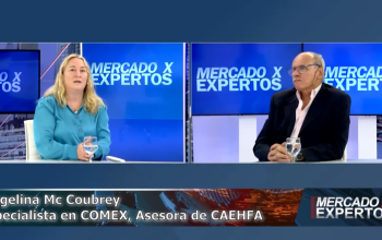 Acuerdo Mercosur – UE: oportunidades y desafíos para las pymes de tecnología médica