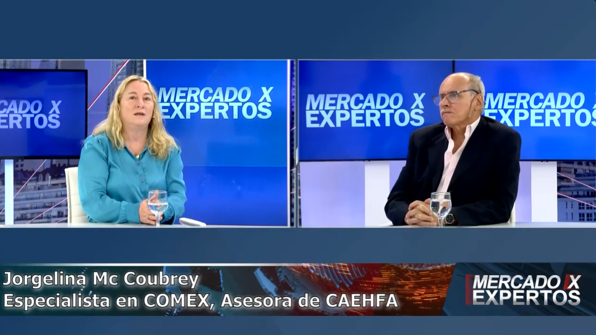Acuerdo Mercosur – UE: oportunidades y desafíos para las pymes de tecnología médica